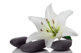 Fotolia_3953050_XL.gif